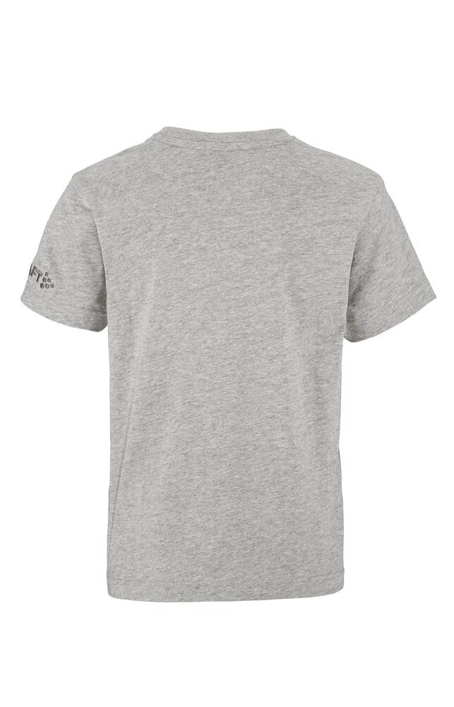 Community 2.0 Tee Jr | Grey | Craft Sportswear